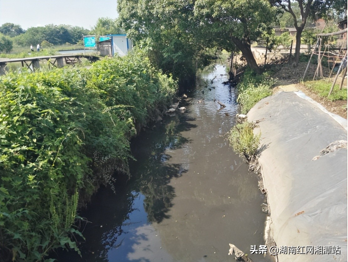 岳塘区：南洋渠“丑小鸭”的蜕变