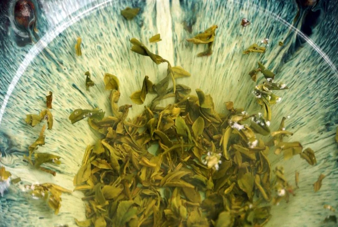 绿茶种类大全介绍,高档龙井绿茶有哪些种类