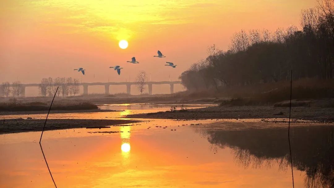 摄影家的2022年|张斌:心朝阳光向美而行