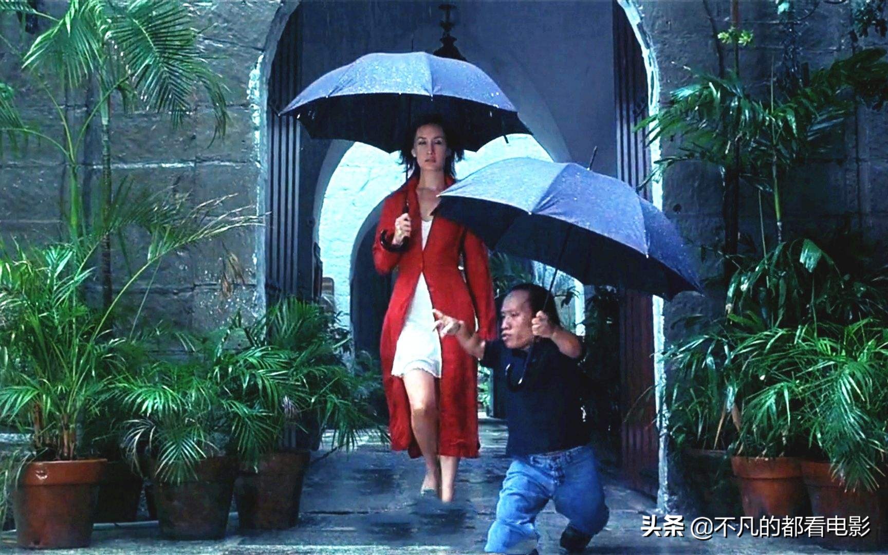 香港十大经典冷门电影,香港十大冷门犯罪电影