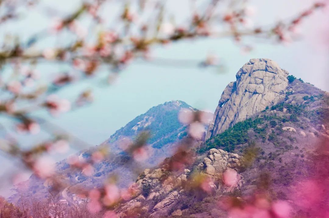 青岛踏春哪里最适合旅游,青岛冬季踏青好去处