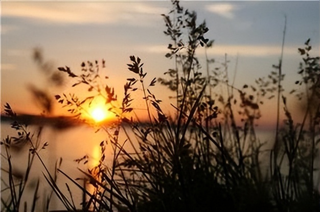 适合秋日的文案,适合秋日的古风文案