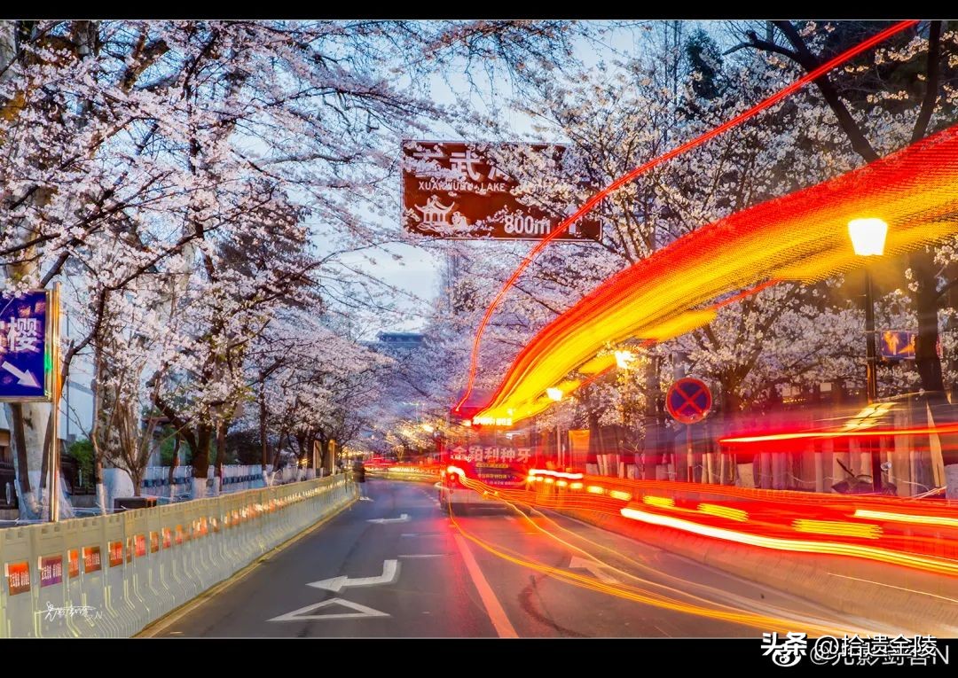 南京鸡鸣寺樱花盛开的时候,鸡鸣寺看樱花要门票吗