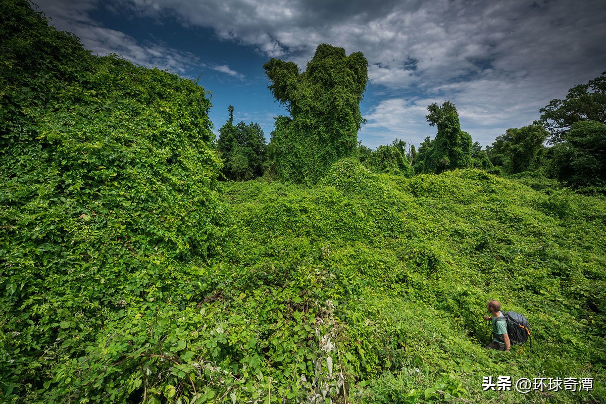 从符拉迪沃斯托克到莫斯科,克里米亚到俄罗斯公路
