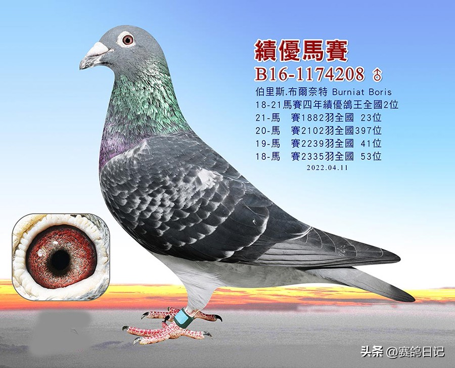 依天迪沃斯席丹号，伯里斯鸽系的起点