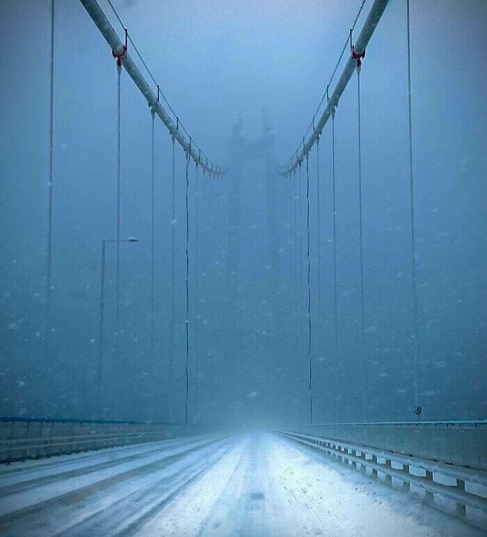 有没有人觉得猫头鹰长得很可怕,猫头鹰真正的照片