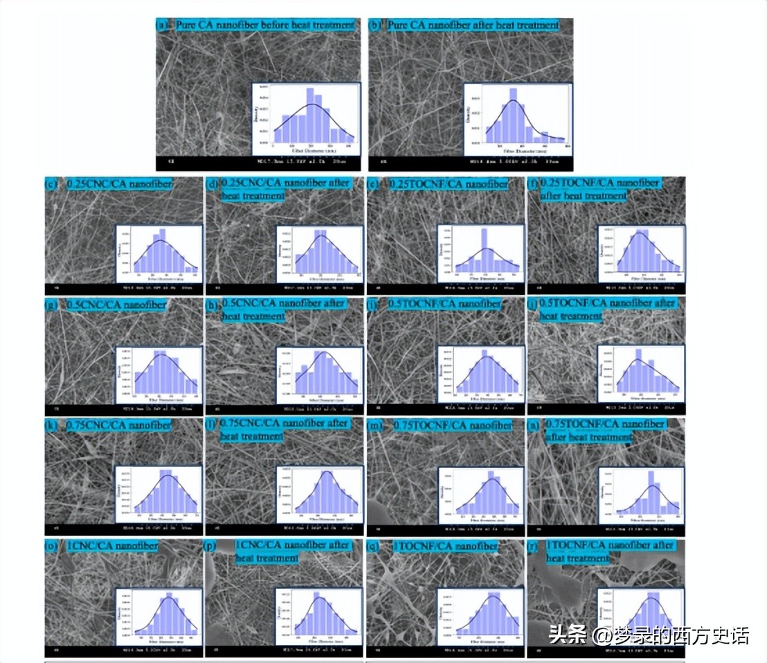 纤维和结晶纳米纤维素对醋酸纤维素膜的增强作用