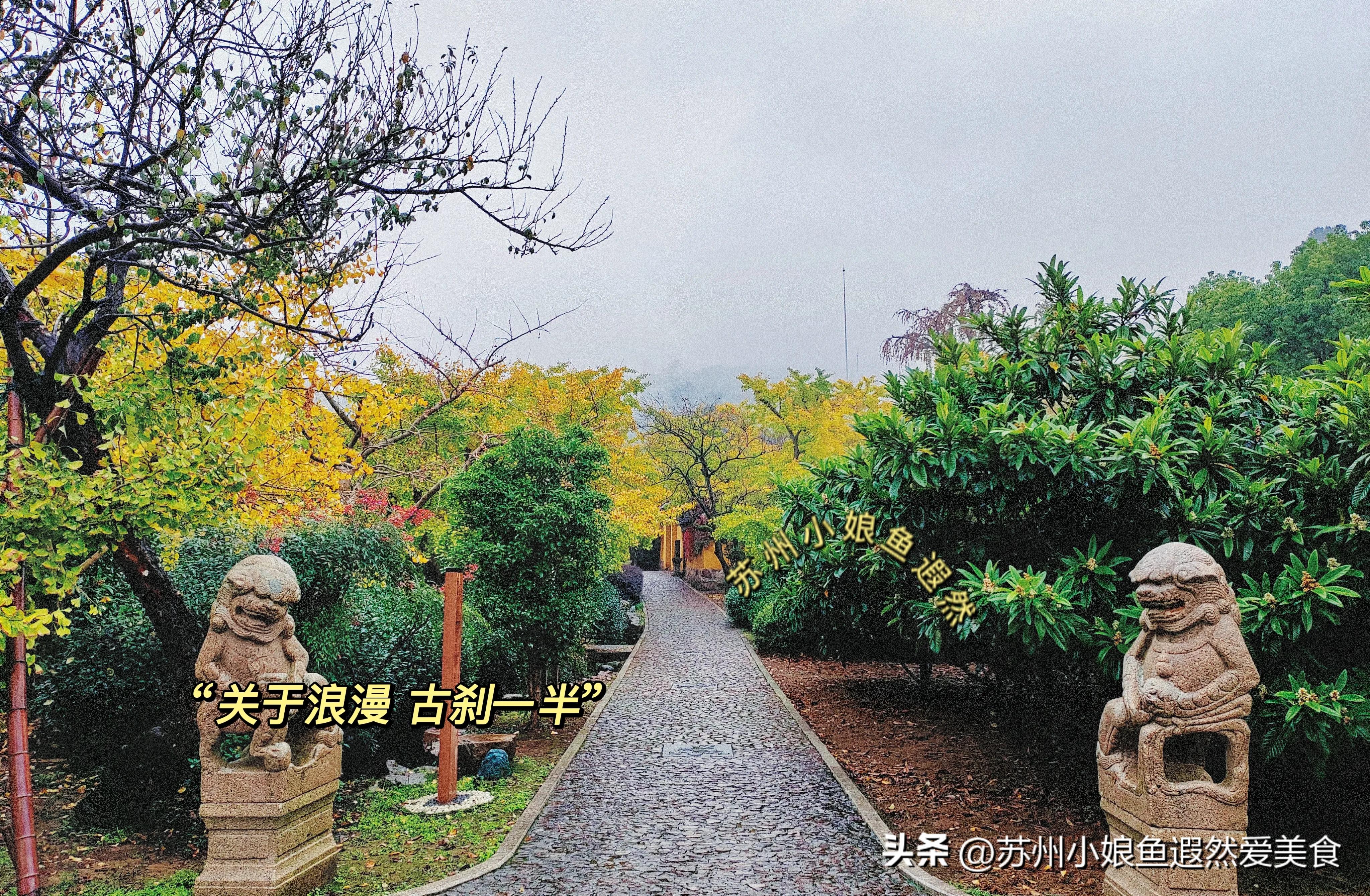 苏州一日游攻略探索更好玩的景点,苏州一日游景区推荐