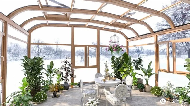 猎阳阳光房,阳光房种植植物过程