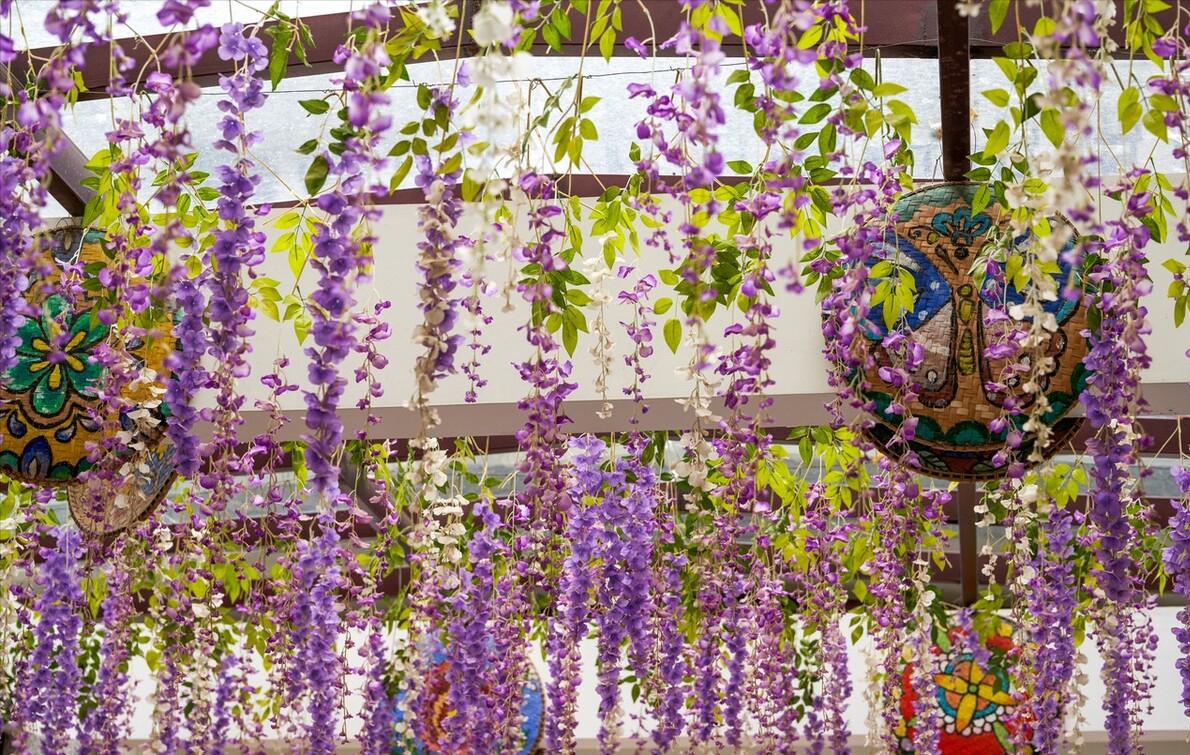 庭院四季常青不怕晒又耐寒的花树,适合在庭院里种植的花树有哪些