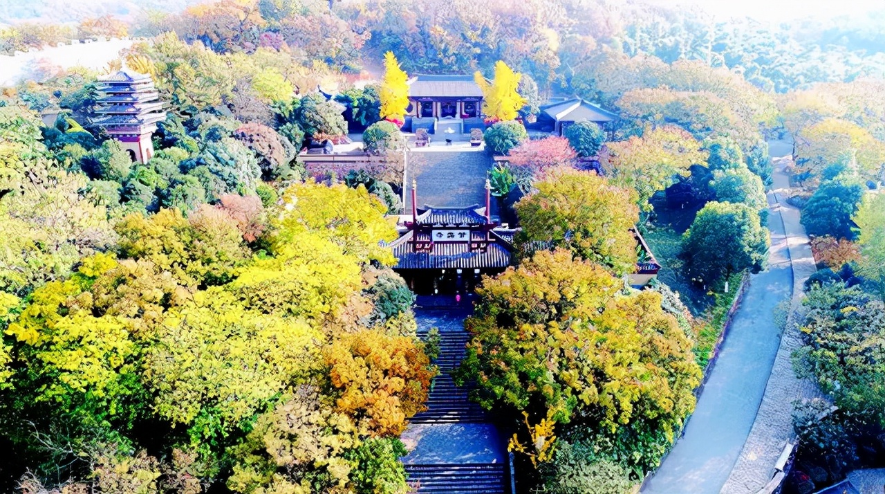 @所有人，三城年卡史上最低价！单人、亲子、家庭通通都有