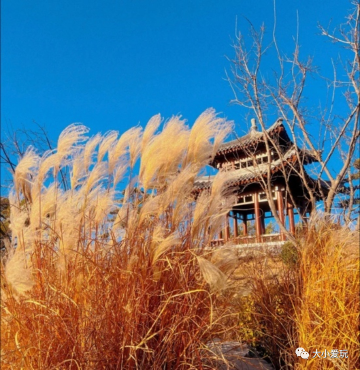 最适合遛娃的十大公园,西安超适合遛娃的10大公园