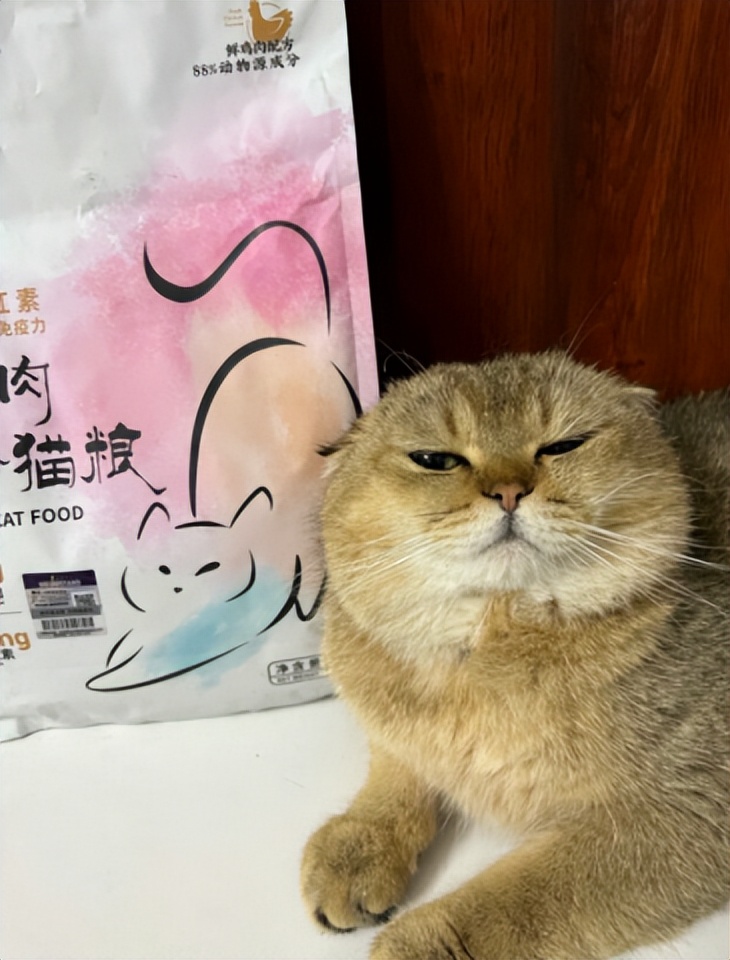 猫冻干测评报告,猫测评食物