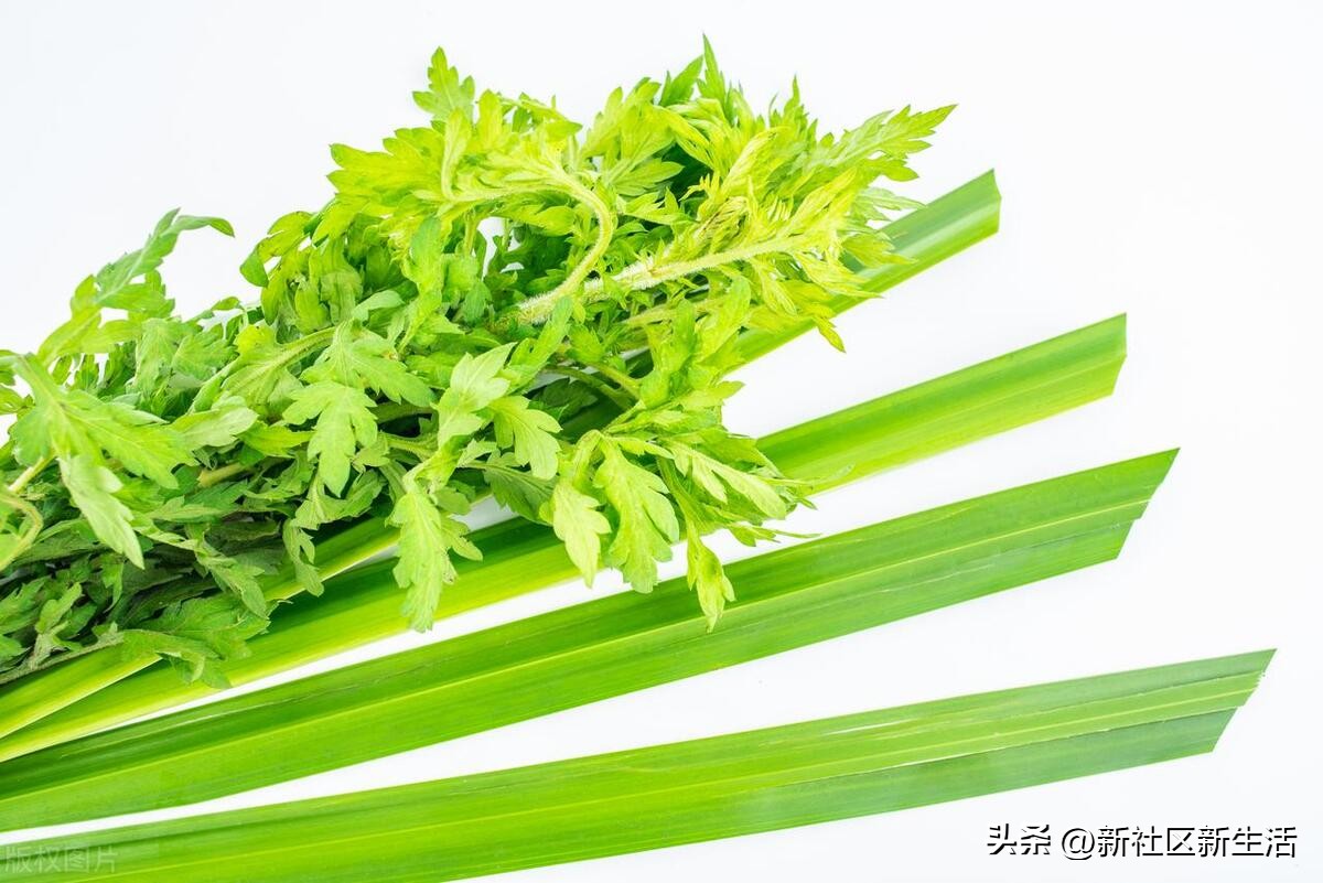 关于艾蒿、苍蒲，妈妈讲的是一个玄幻故事