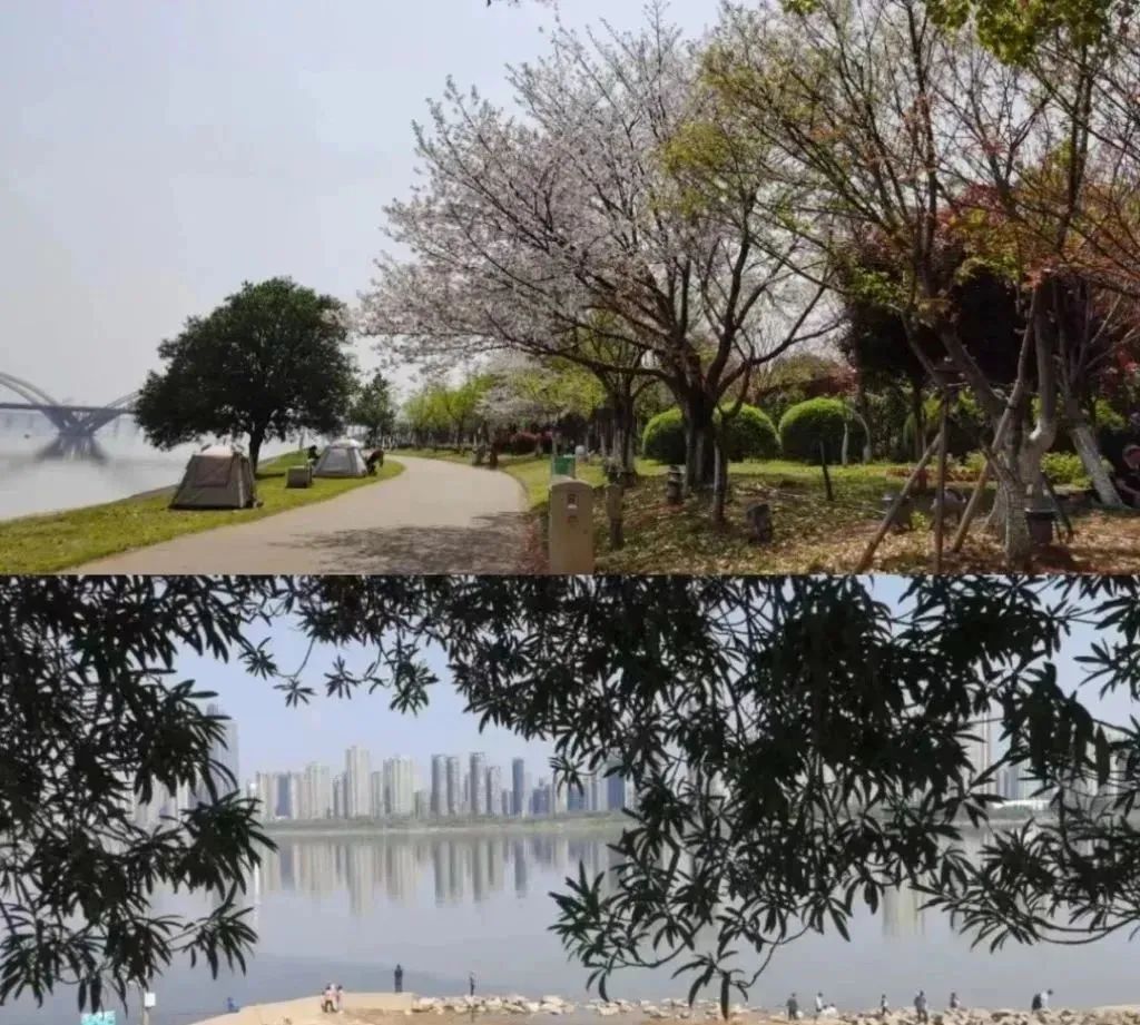 看完薛之谦演唱会也要逛逛美食城,薛之谦演唱会场外美食