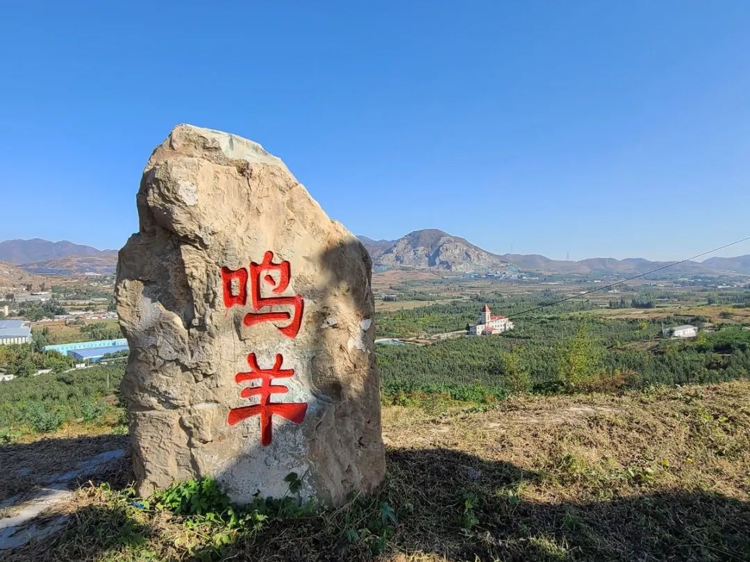 济南采摘园推荐最新,济南采摘园推荐秋季