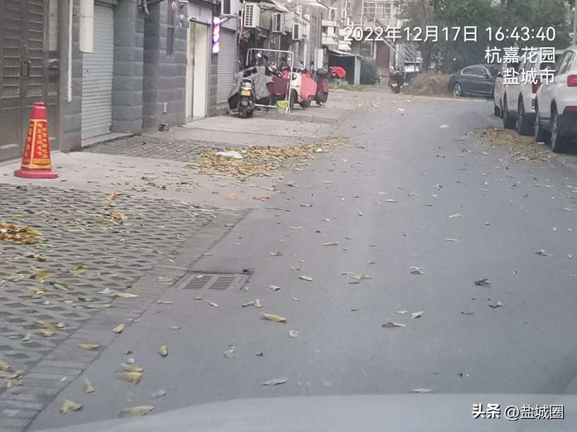 业主控诉小区脏乱,无人管理的小区脏乱差