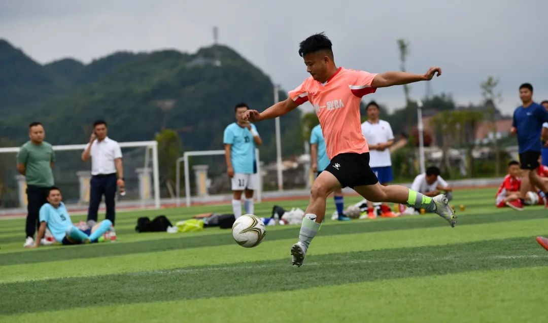 百里杜鹃风景区方家坪,百里杜鹃方家坪景区直播