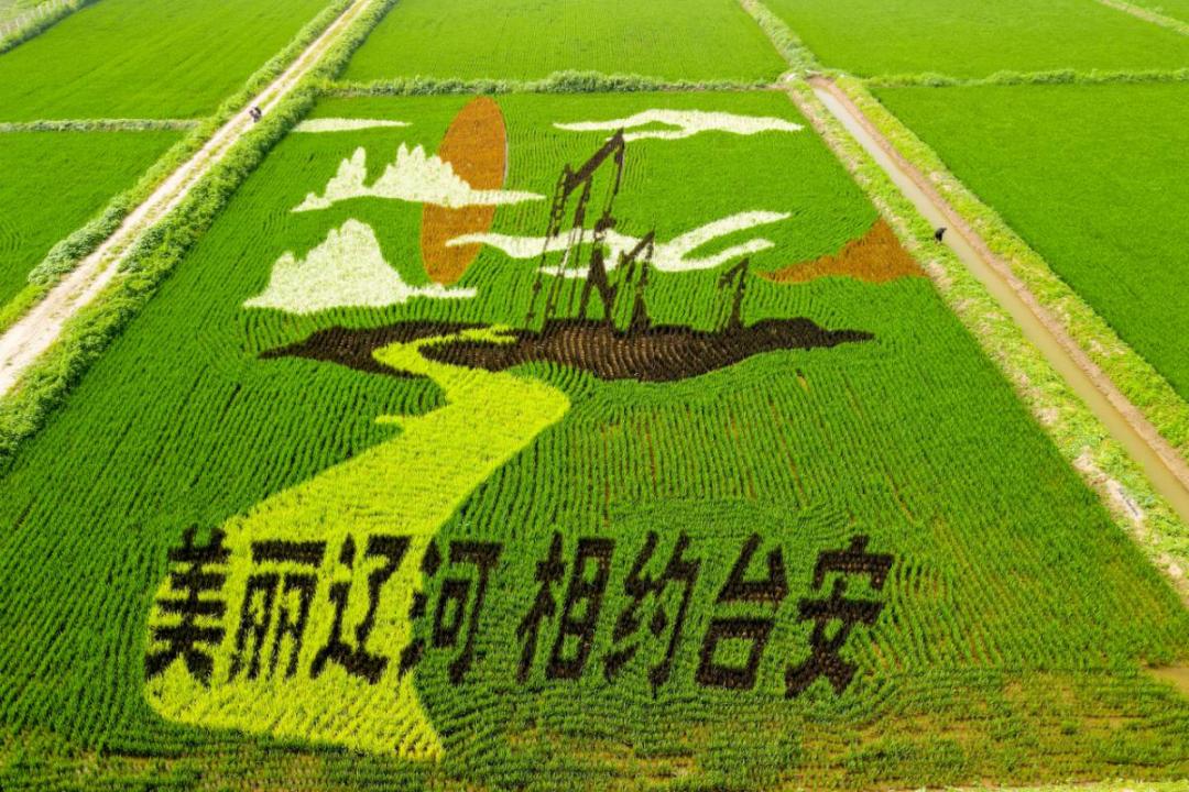 鞍山旅游攻略网红打卡,农文旅网红打卡胜地