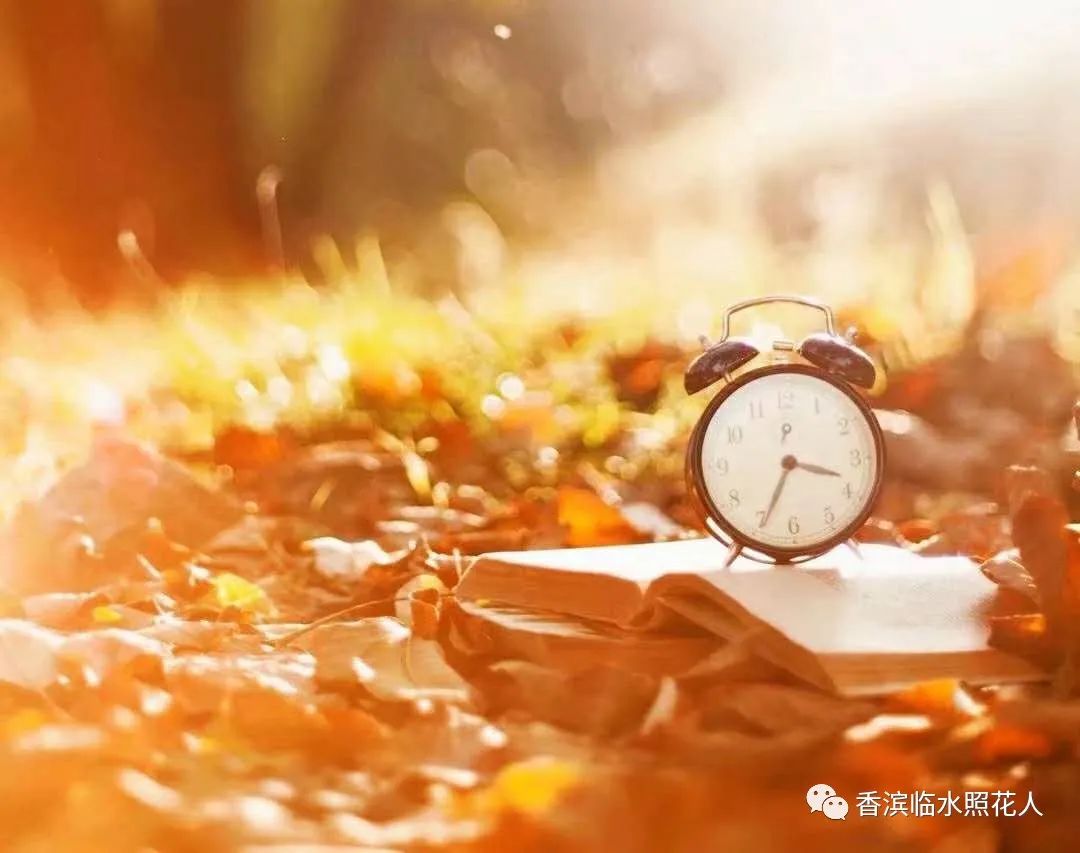 成长的滋味作文600字初二并列式,六年级作文成长的滋味600字记叙文