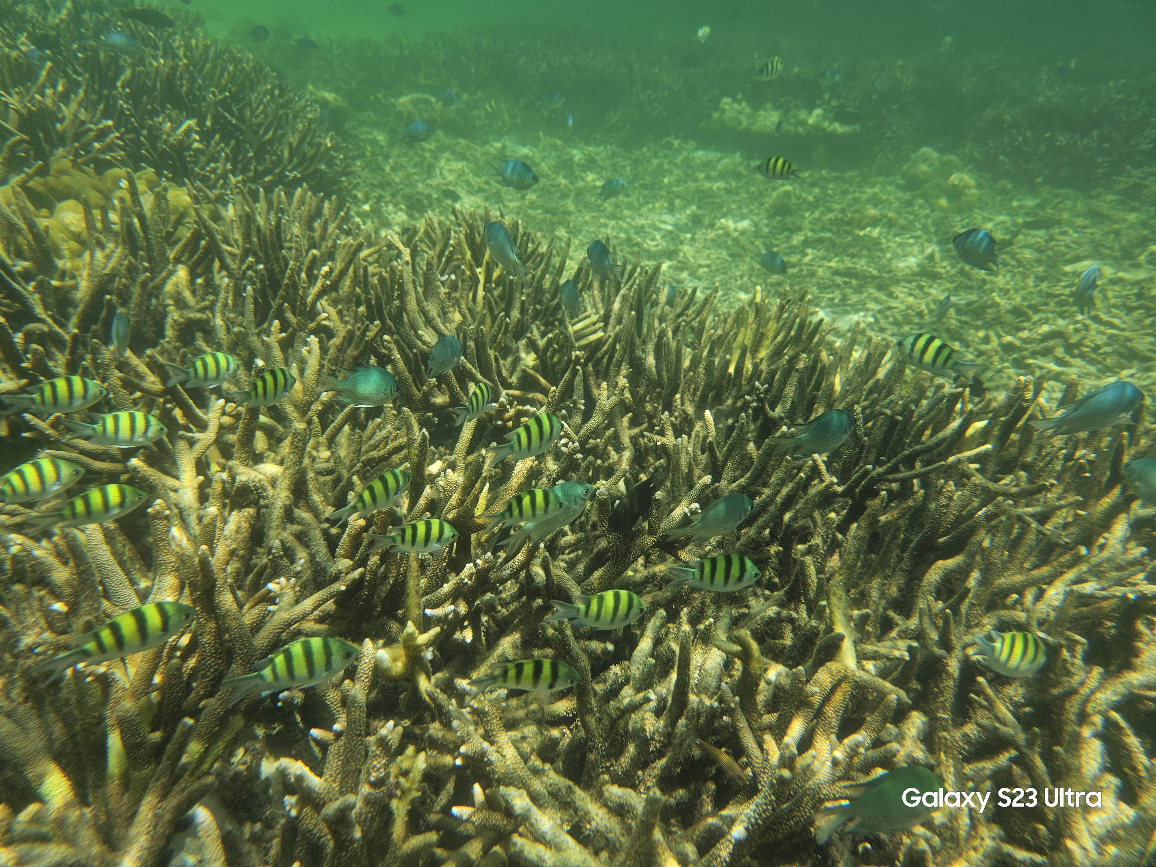 带GalaxyS23Ultra游泰国：随手记录星辰大海