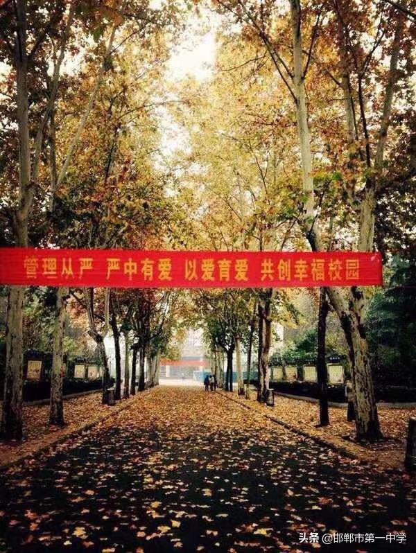 亲爱的母校完整视频,亲爱的母校完整版