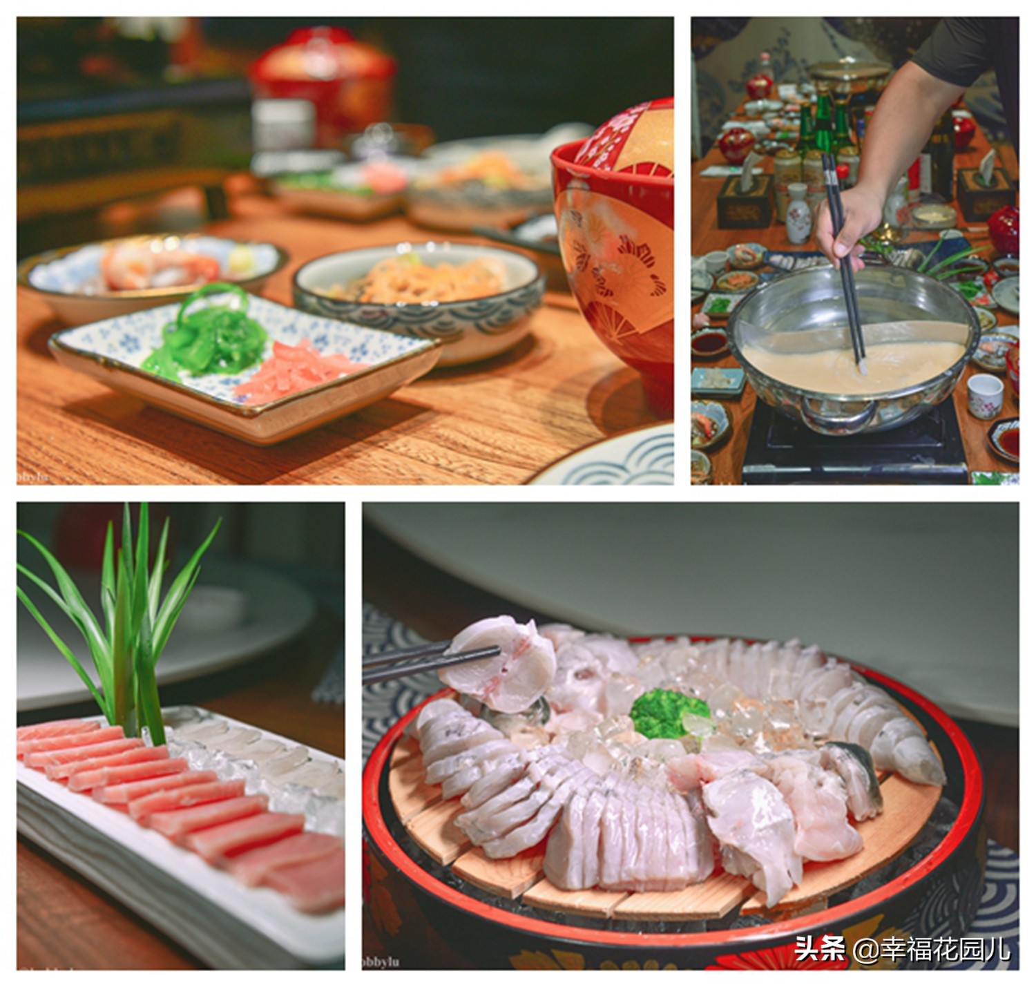 美味河豚有多金贵？养殖就有多娇贵！十里海河豚小镇探秘美食之源