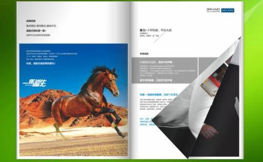 怎样制作电子版宣传册,制作电子宣传册的教程