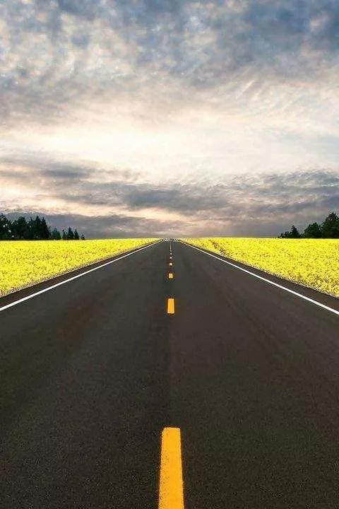 什么是诗和远方和眼前的苟且,何为苟且何为远方