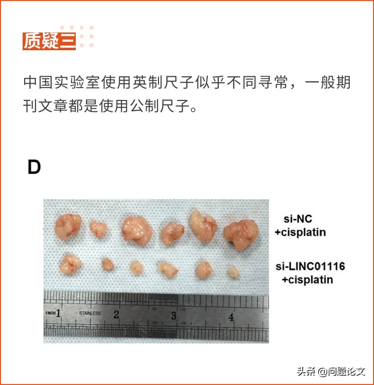 尺子是真的所以实验都是真的，南京医科大学第二附属医院回应质疑