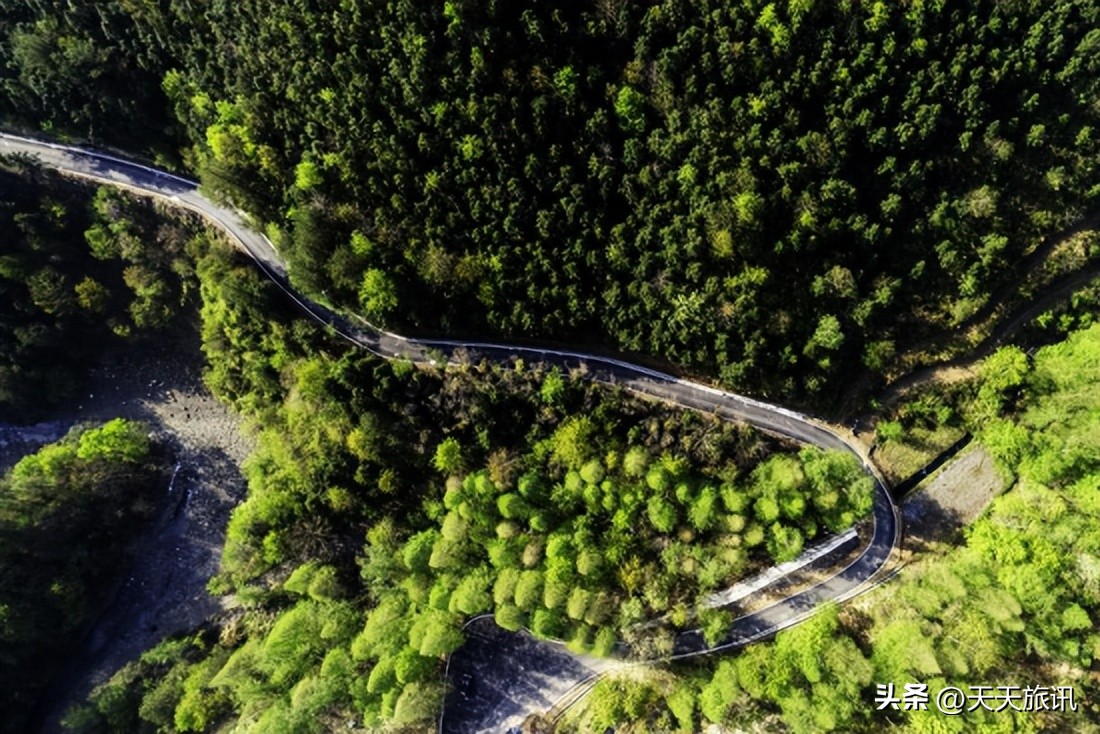安徽天然氧吧地区名单,安徽最好的天然氧吧景区