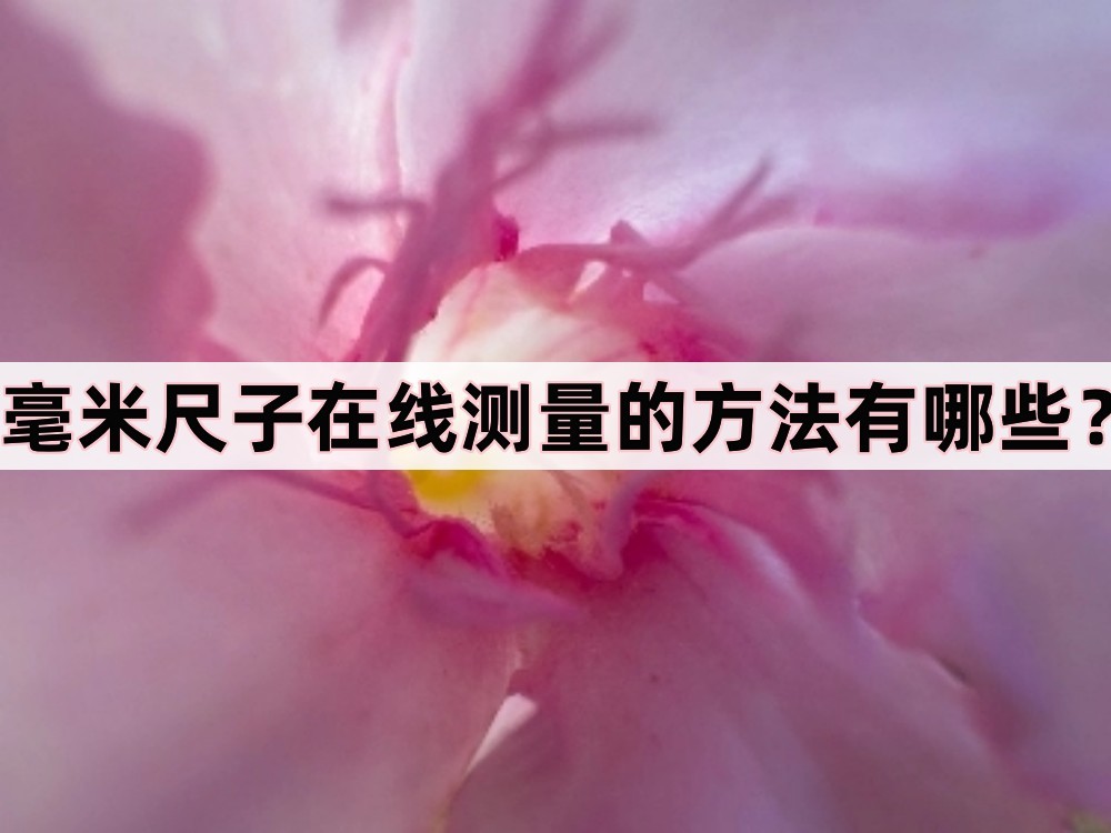 尺子在线测量20厘米图解,除了用尺子测量还可以用什么测量