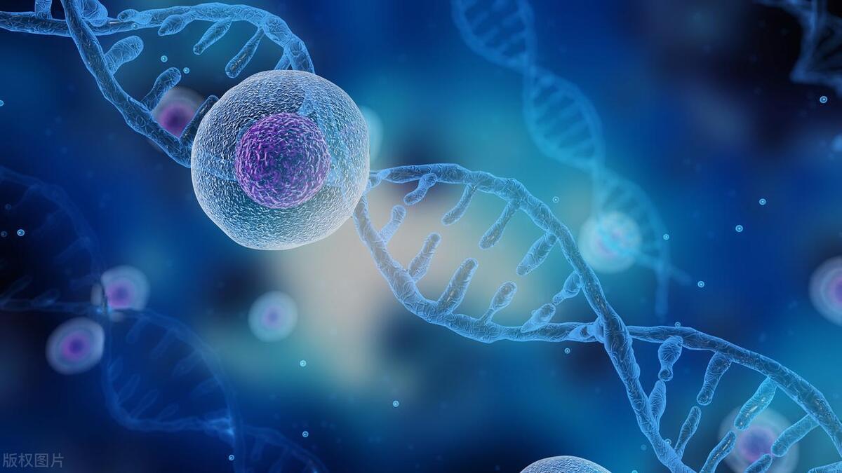 年轻男性享受*艳猎**生活，确诊前列腺癌后悔不当初