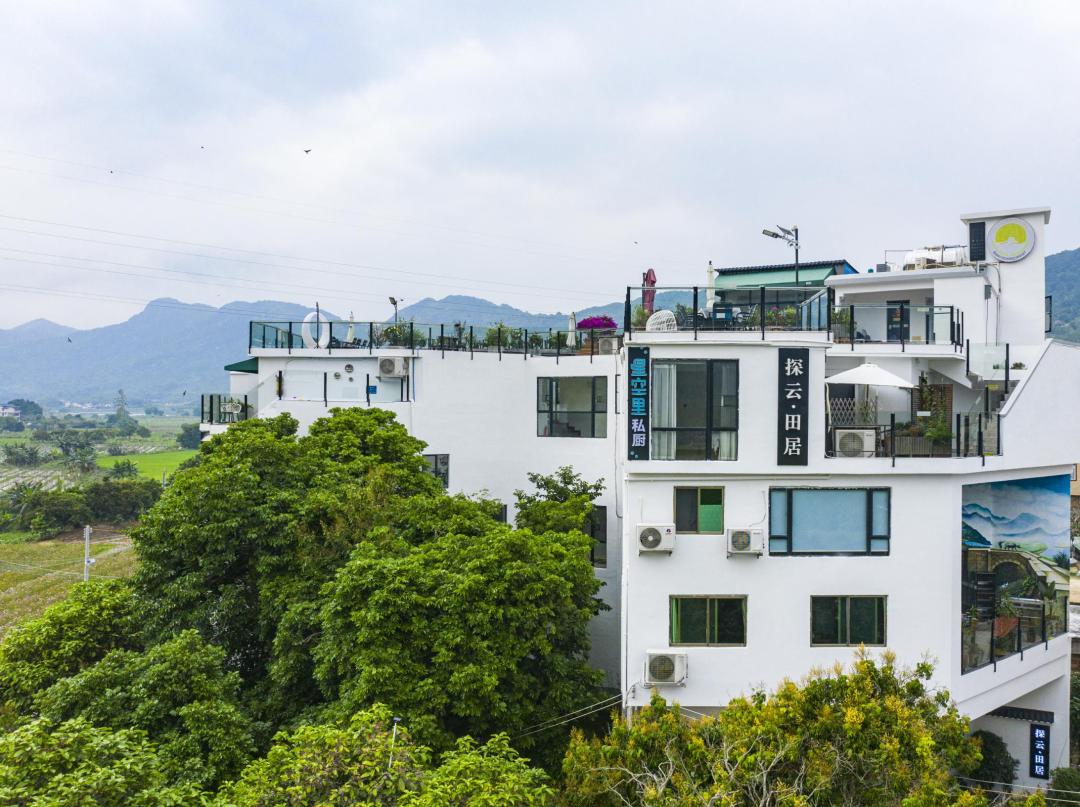 藏在广州竹林山野间的网红民宿,增城宛若故里稻田民宿