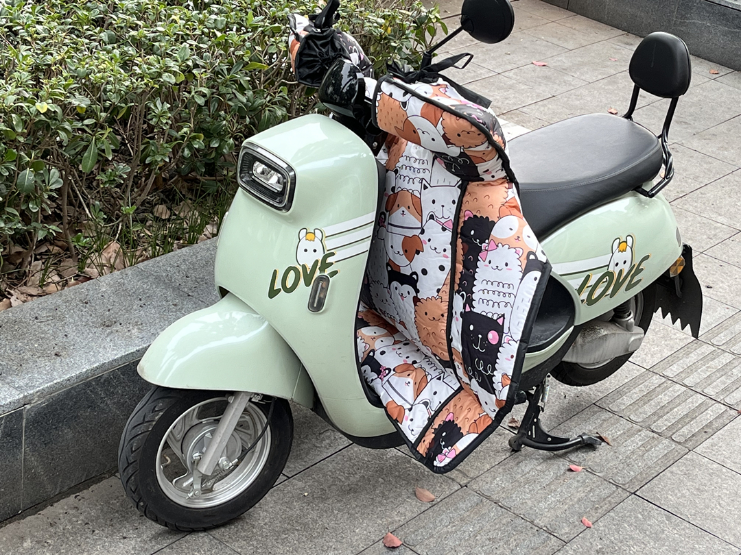 普通电动车哪个牌子性价比高,2000-3000电动车型号推荐排行榜