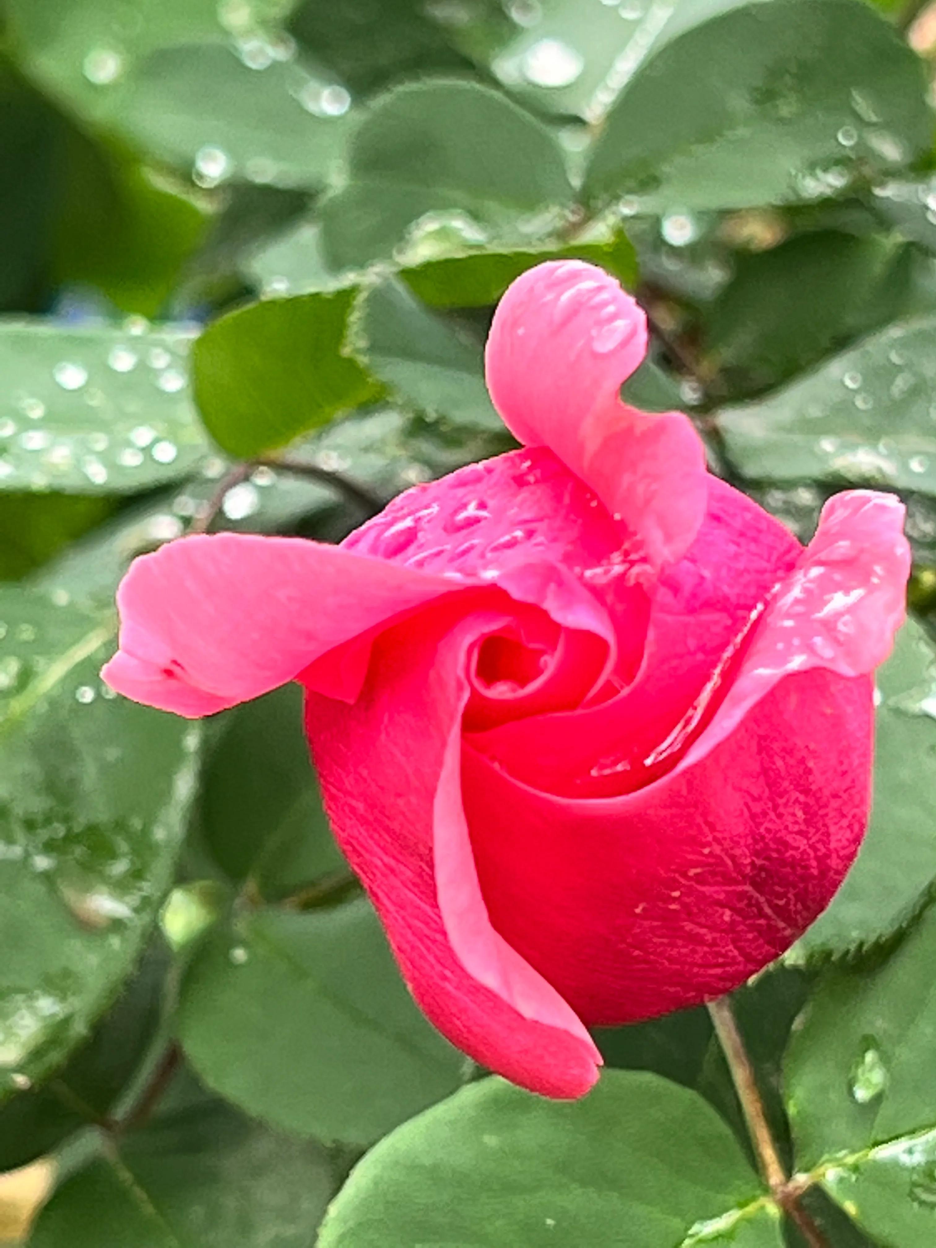 慧眼识得真金,人身上隐藏着神秘的“宝藏”,只是没有人去识别