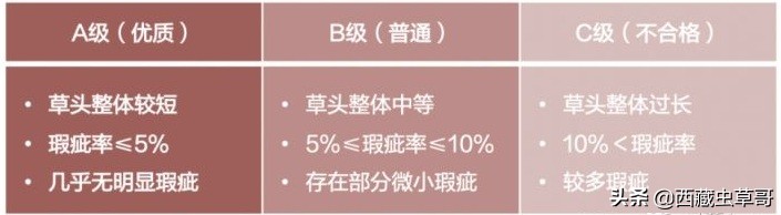 冬虫夏草如何挑选和鉴别,御草集冬虫夏草价格