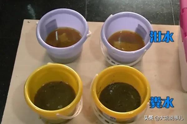 臭豆腐有“屎”吗?网友丧心病狂,在家自制“粪水”臭豆腐