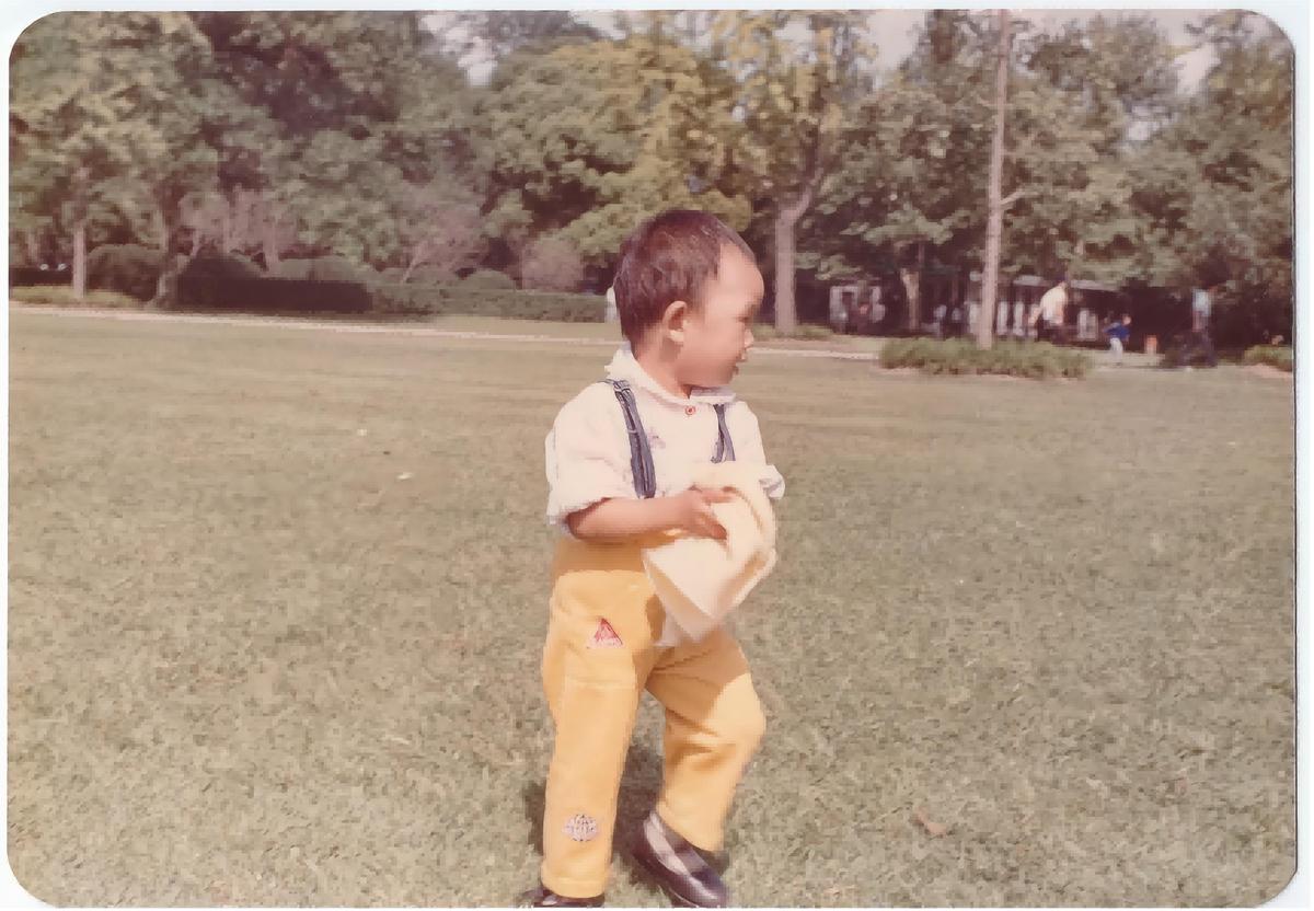 华东上海旅游攻略,华东游记