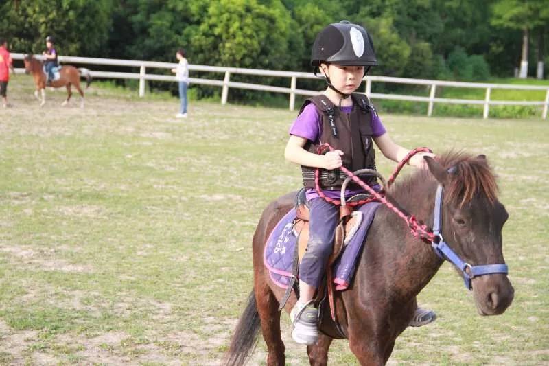 2023华杯赛夏令营,华誉外交官