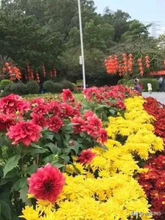 深圳宝安公园一日游攻略,深圳旅行日记十三集