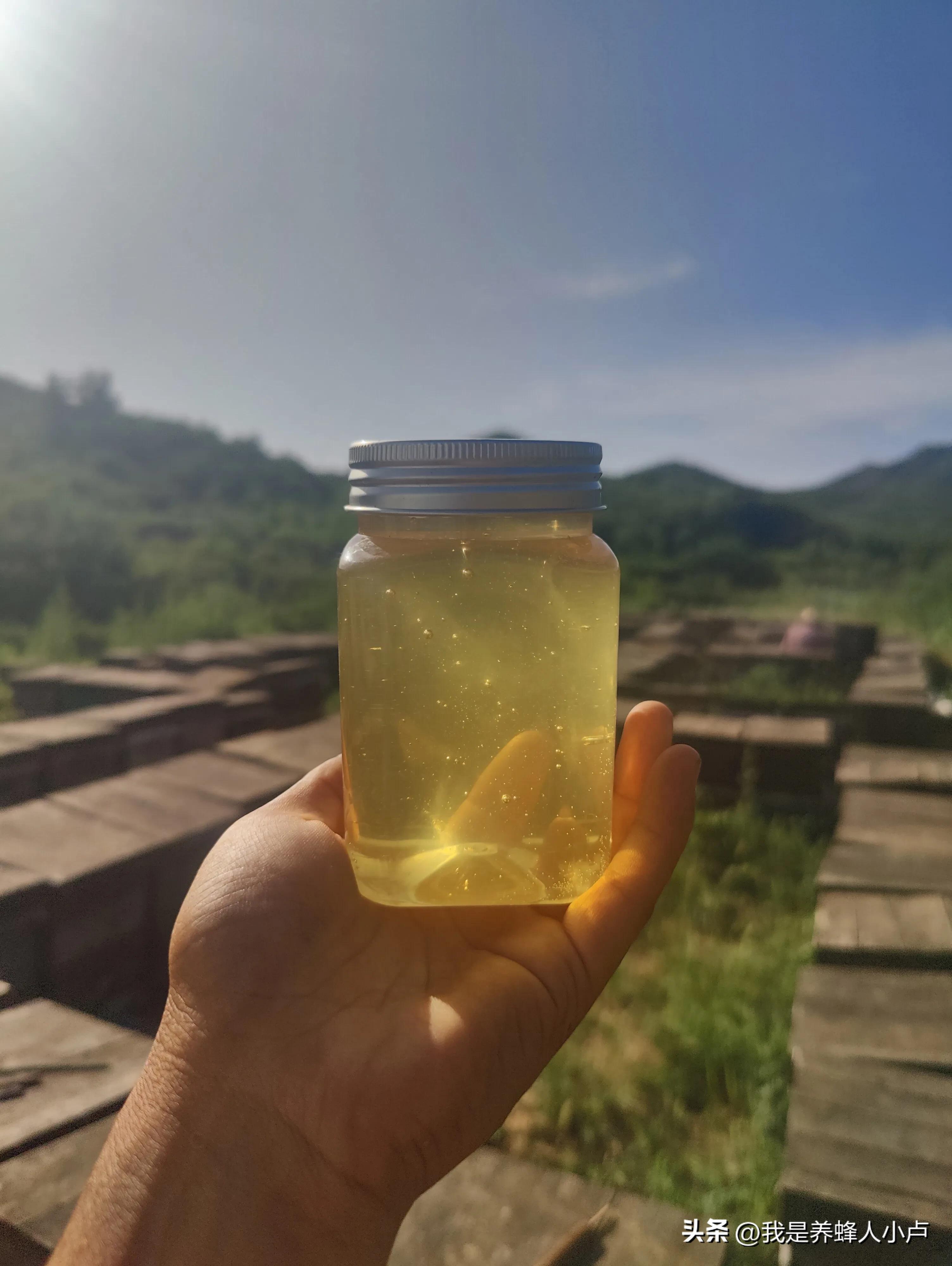 你知道世界上有多少种昆虫吗,你知道世界上有多少种果子