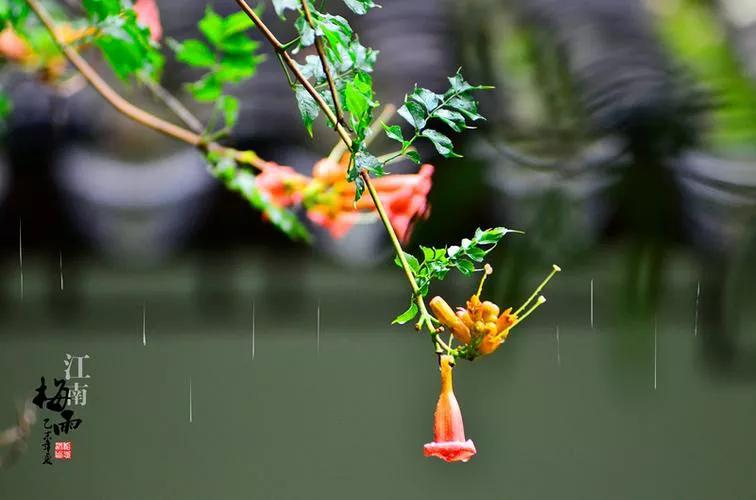 「新梦文学」同题专刊：东边日出西边雨】