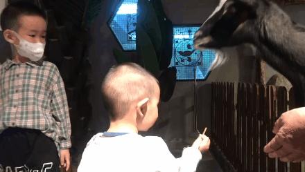 长春摩天活力城有什么好玩的,走进长春100个网红打卡地