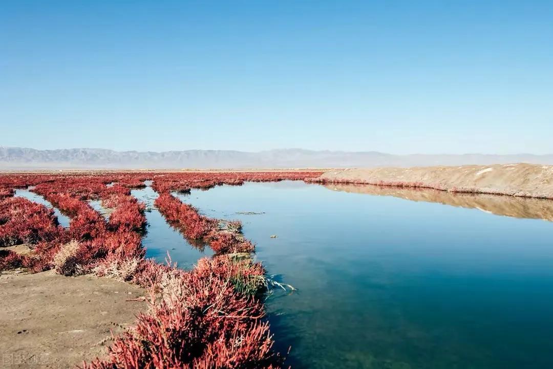 大美青海旅游胜地,大美青海旅游胜地活动