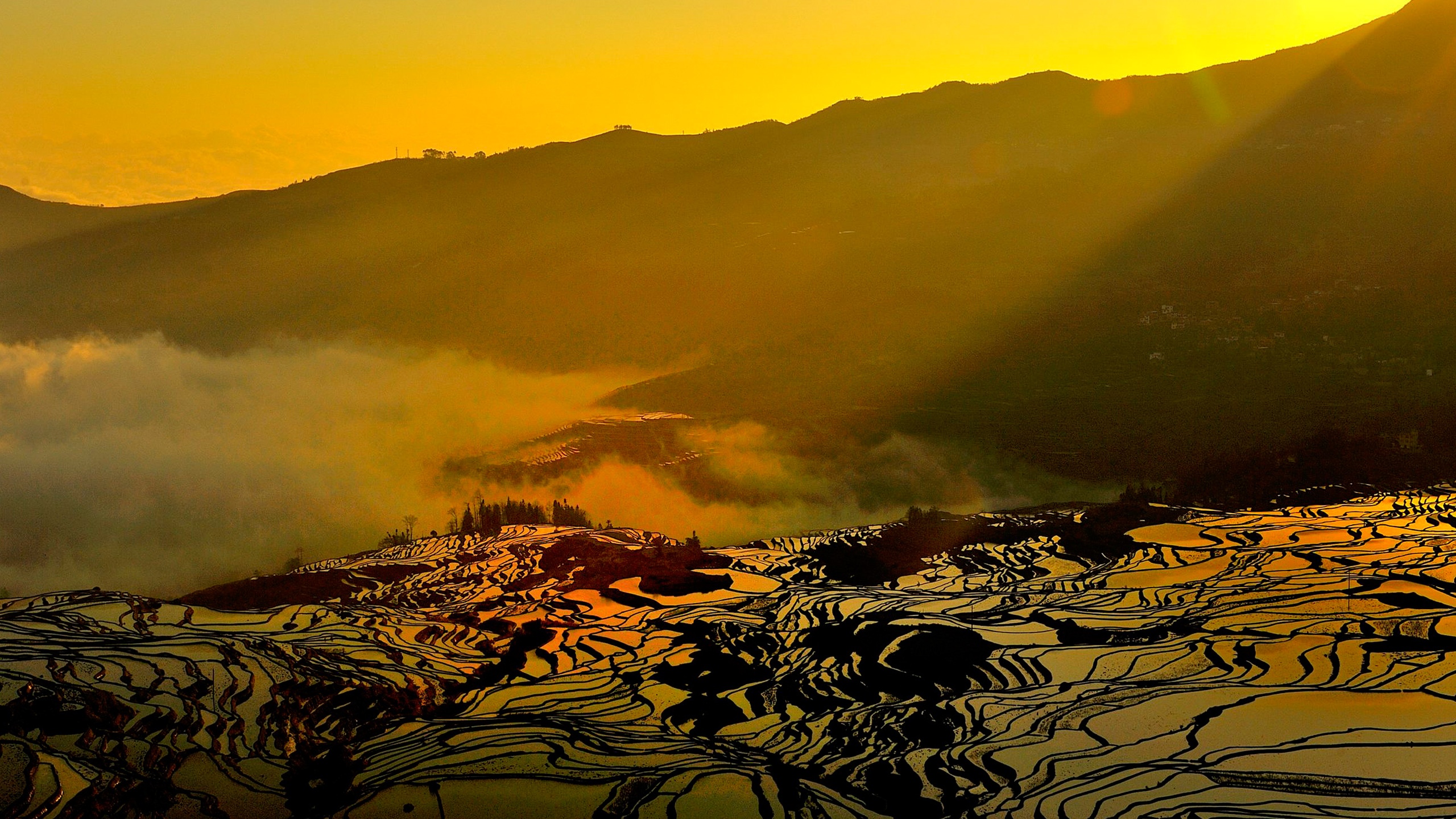 云南跟团旅游怎么合理避坑,卧底随团云南低价游大揭秘