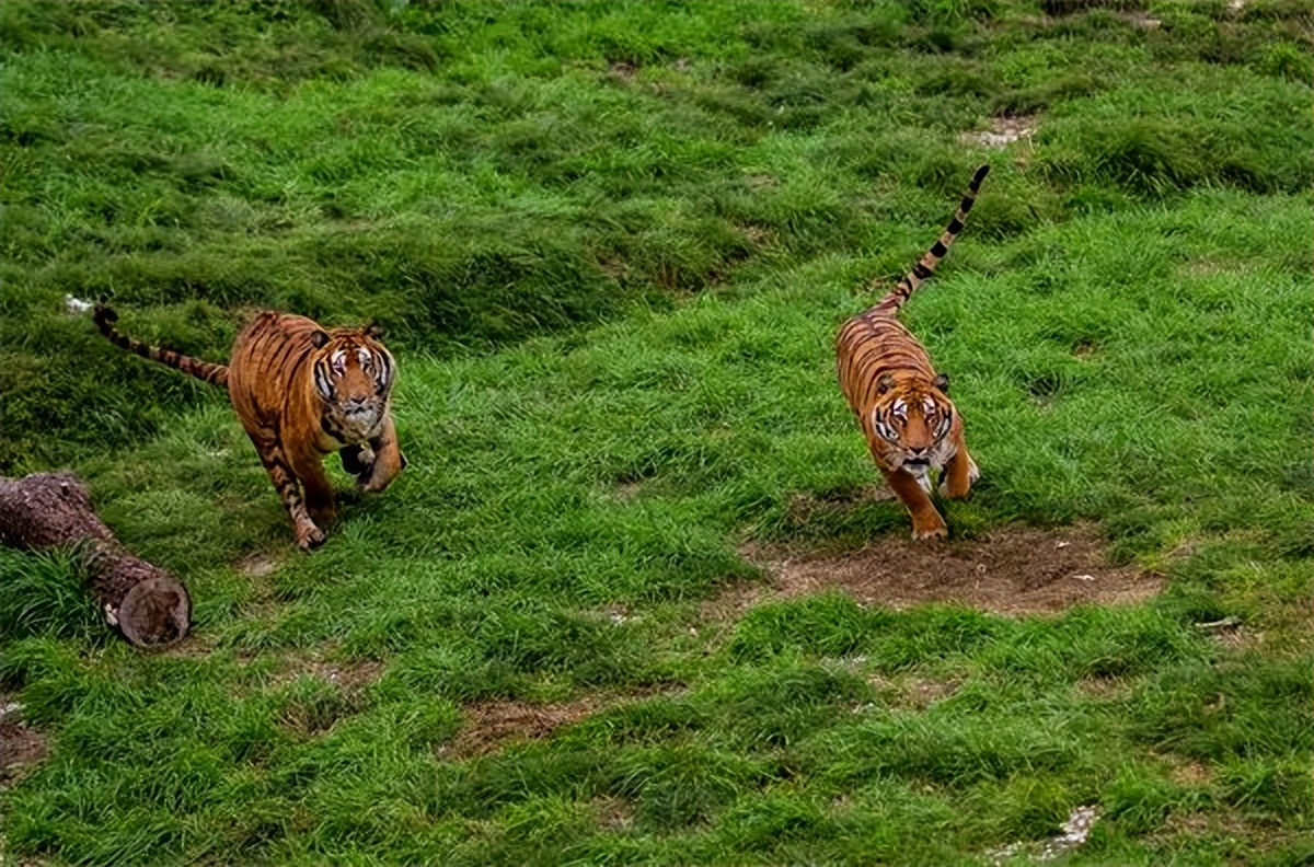 福建乡村旅游推荐,福建乡村游推荐