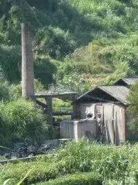 我们是工人我们是军人：中国核工业741矿（00251部队）的来龙去脉