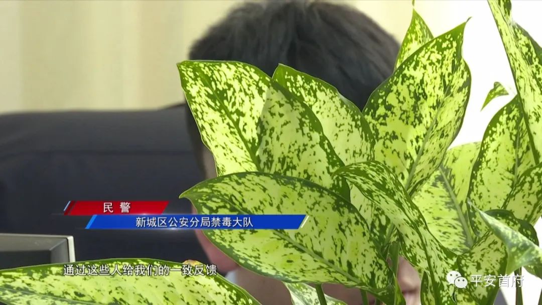 “家族式”制贩*证假**假章伪造的国家机关及企业事业单位印章三百余枚一家人全被抓