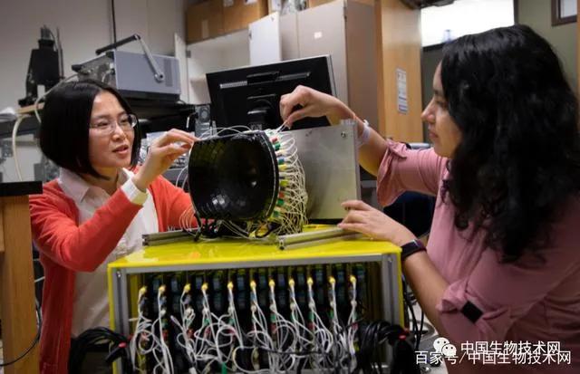 科学家肝癌能治愈吗,科学家何时能彻底治愈肿瘤